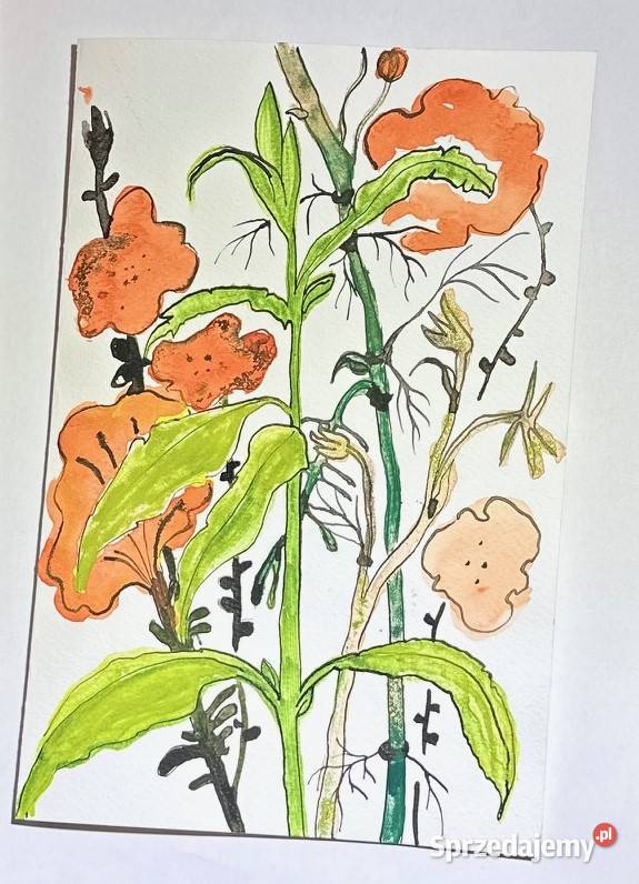 Zaproszenia i Życzenia Ślubne Okolicznościowe Gdańsk