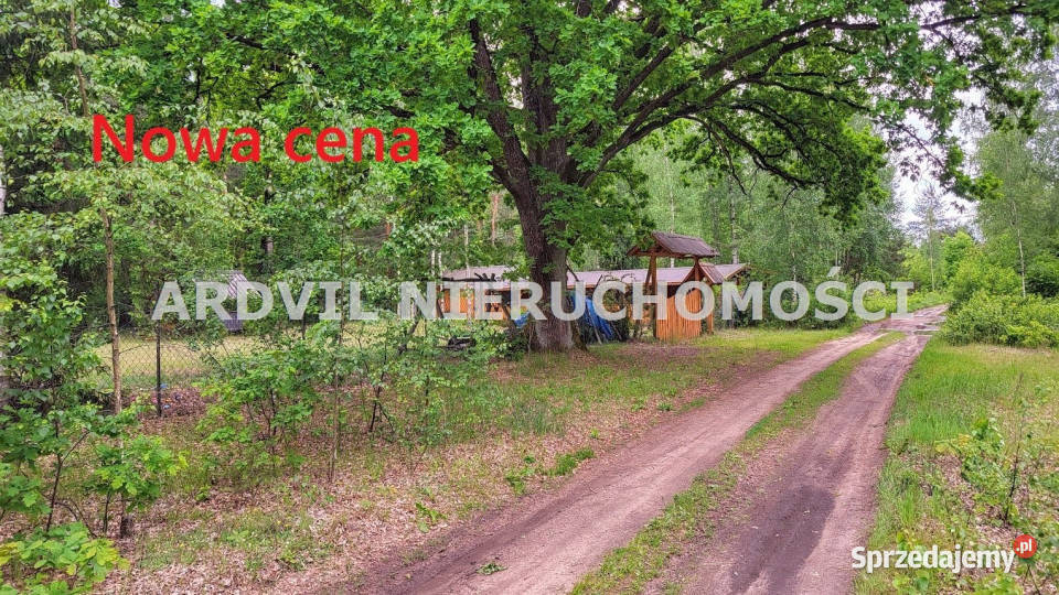 sprzedaży gruntu 995m2 Horodniany kanalizacja