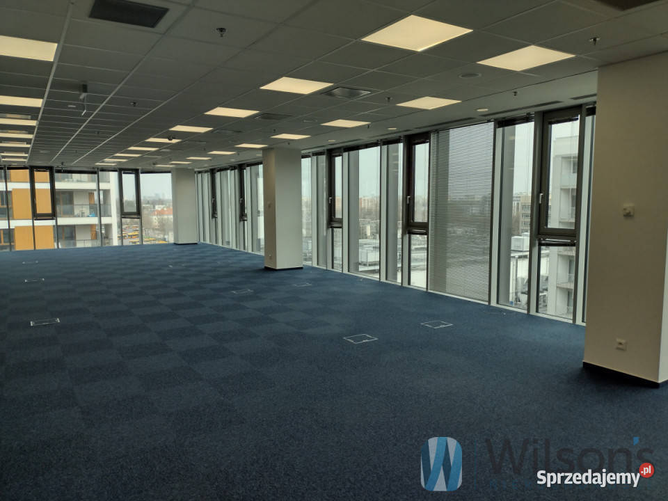 wynajmu lokalu Warszawa Domaniewska 22241m2 Wynajem mazowieckie