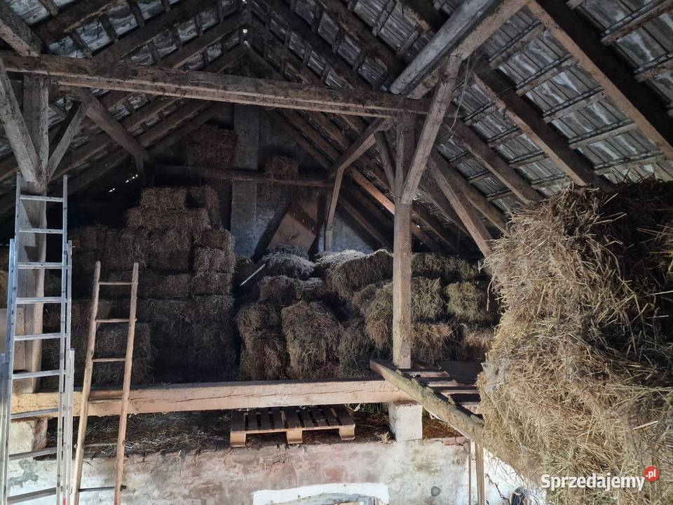 Słoma w kostkach śląskie Molna