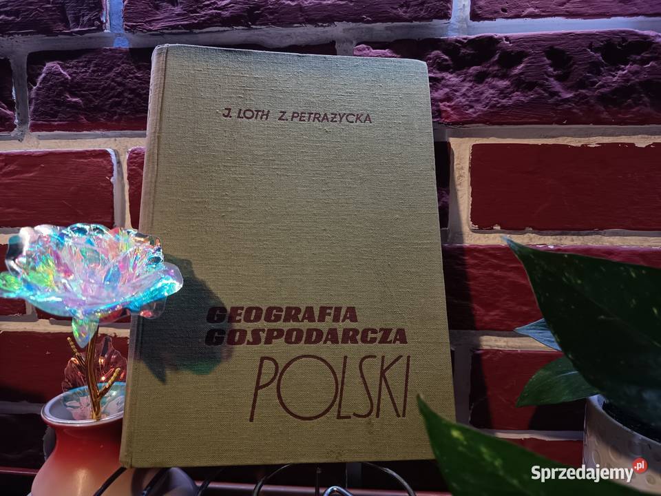 Geografia Gospodarcza Polski Warszawa 1968 kujawsko-pomorskie Bydgoszcz
