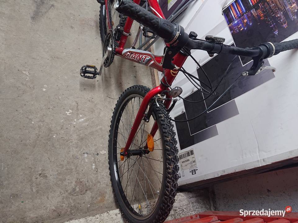 Rower Giant Campus śląskie Tychy sprzedam