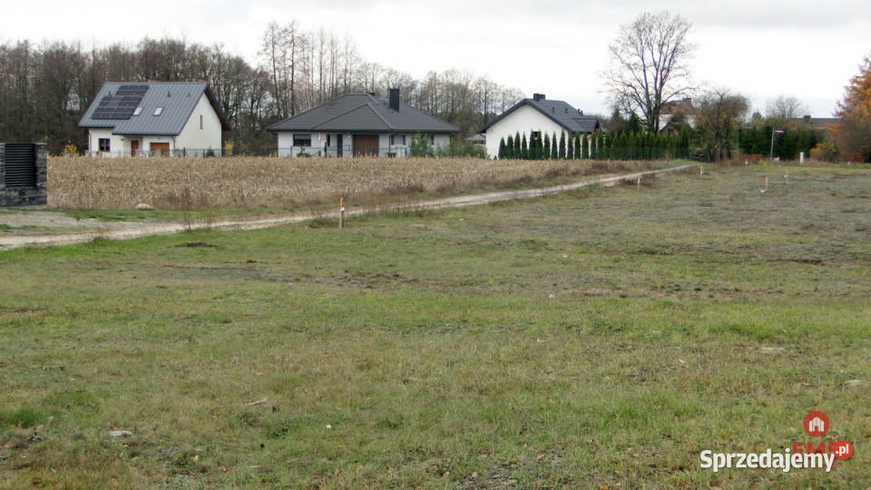 Grunt Tołcze 1000m2 podlaskie