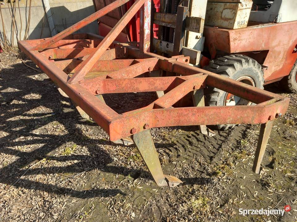 Bezorkowiec głębosz Lisewo Kościelne