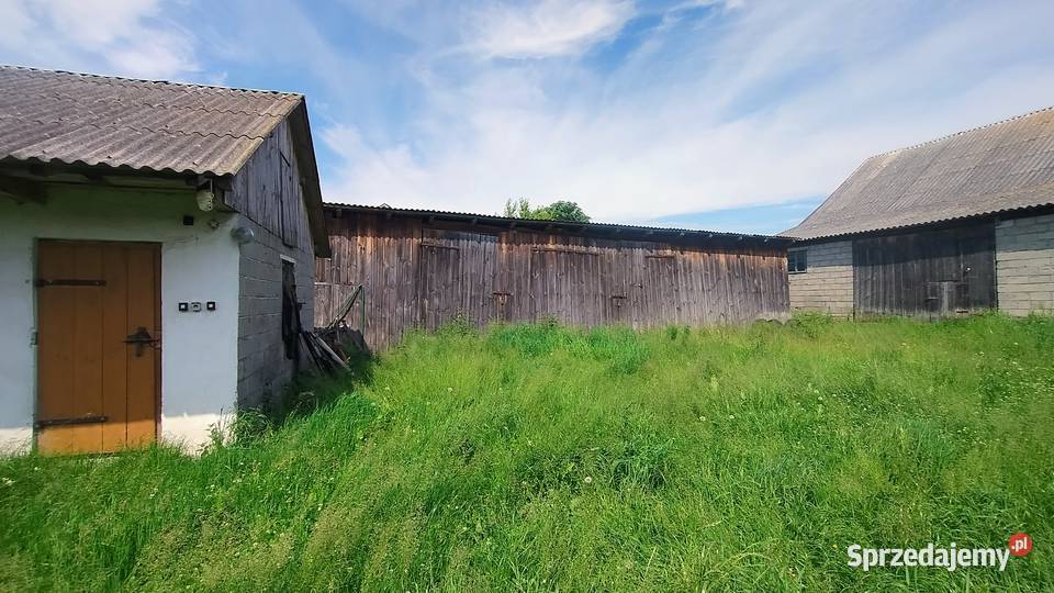 Sprzedam dom z budynkami w ciekawej okolicy Warzyn Pierwszy sprzedam