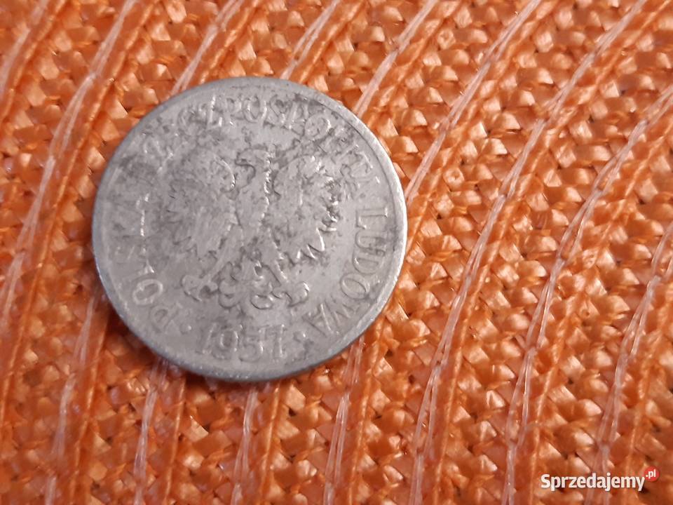 moneta polska 50groszy z 1957r sprzedam