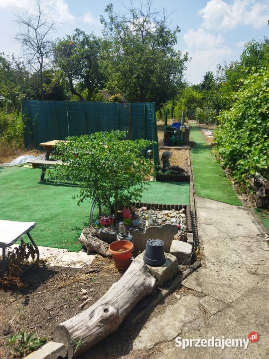 Działka ROD OŁAWKA Krakowska Wrocław