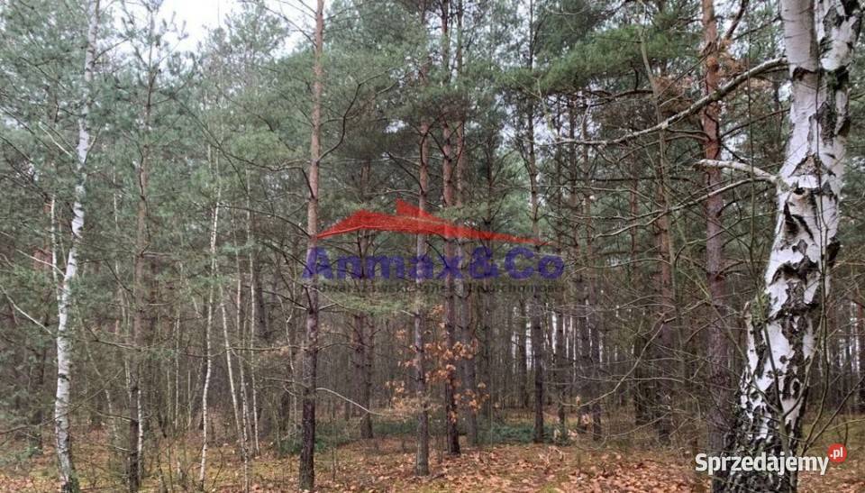 Działka budowlana budowlana Józefów
