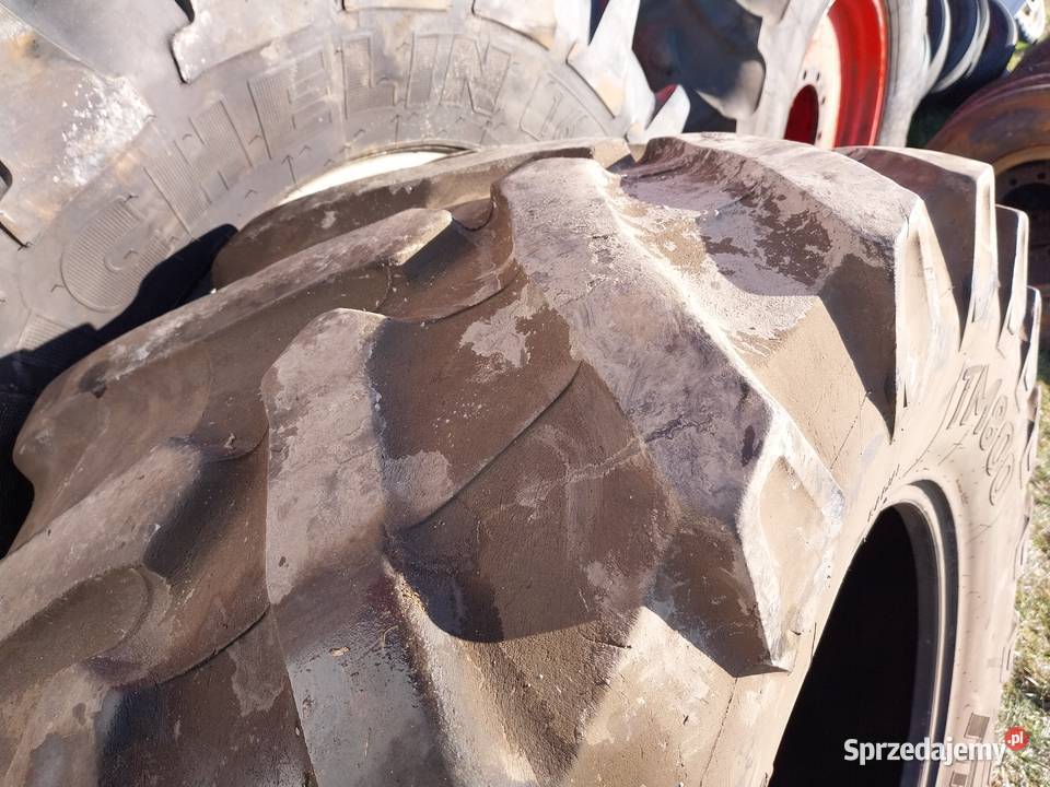 opona Pirelli TM800 54065R28 Borek