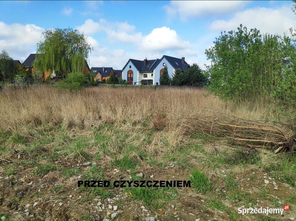 Koszenie nieużytków czyszczenie działek usługi Pruszków prace ogrodowe