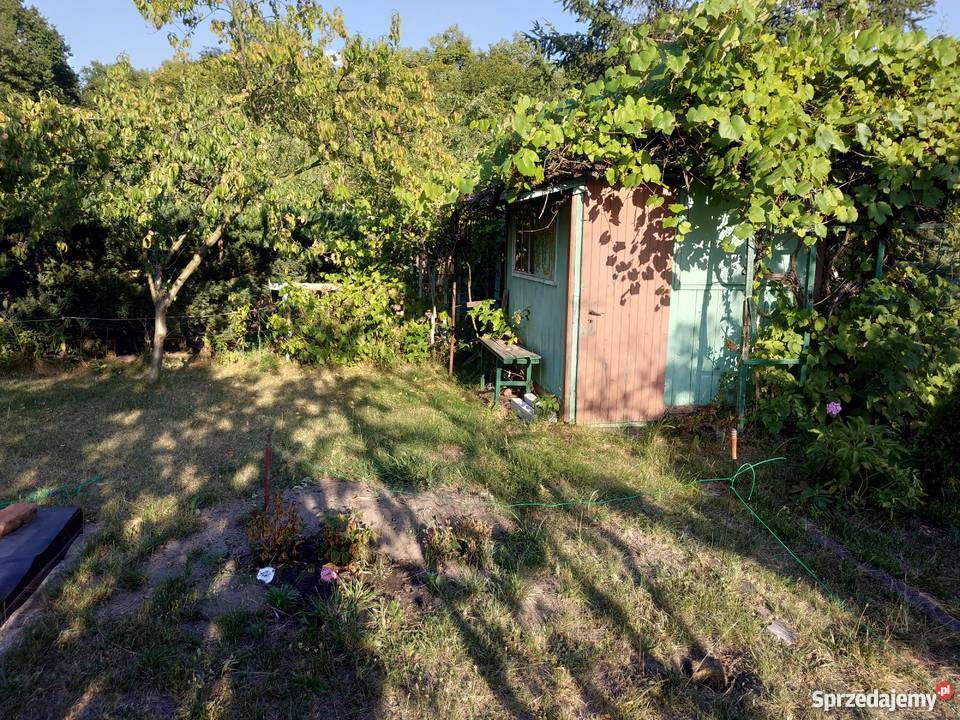 sprzedam prawo do użytkowania ogródka ROD siatka Nieruchomości sprzedam