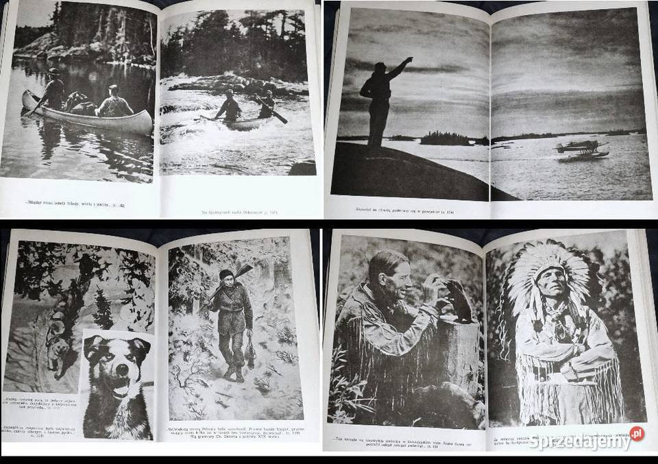 Kanada pachnąca żywicą Arkady Fiedler Pozostałe Chełm