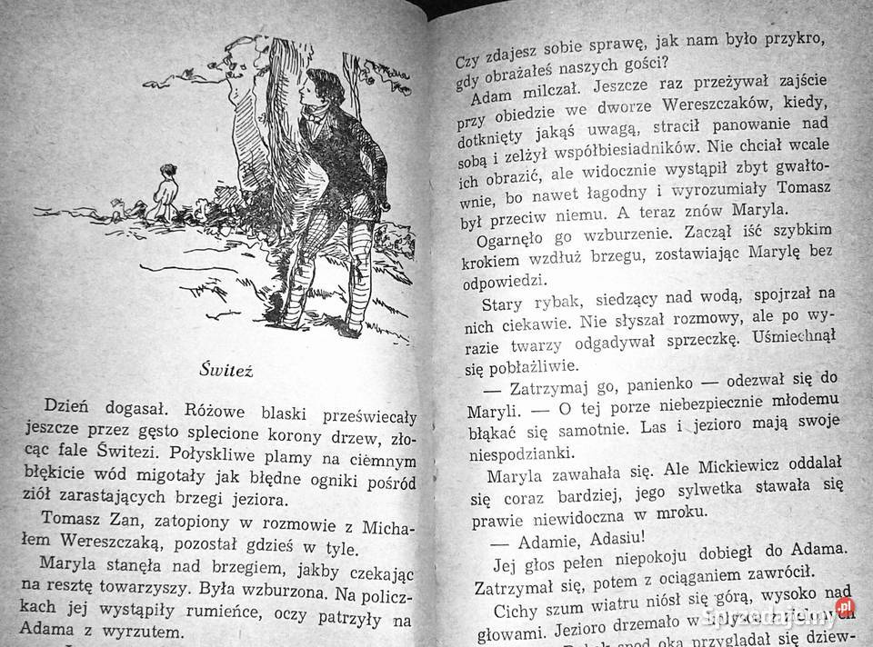 Śladami poety Opowiadania o Adamie Mickiewiczu Kultura i Rozrywka Chełm