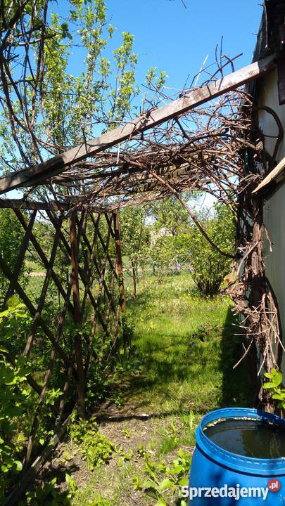 Działka rekreacyjna ROD NADZIEJA prąd woda 15m Lubliniec