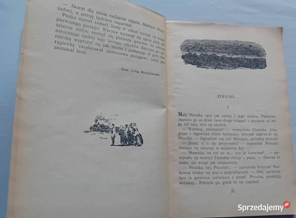 D MaminSibiriak Opowiadania i bajki Nasza Koźminek