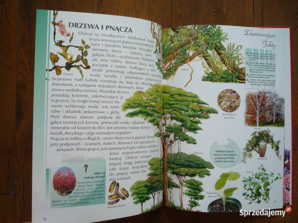 NOWA Ilustrowana encyklopedia Rośliny Książka sprzedam