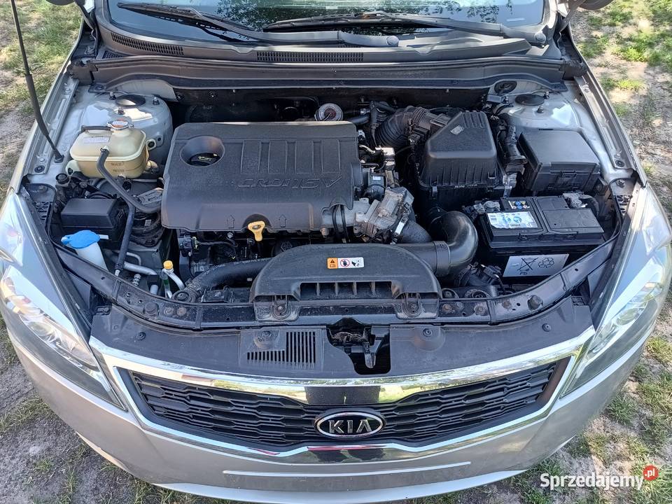 KIA Ceed 16 CRDi 115 6 biegów Podkonice Miejskie sprzedam