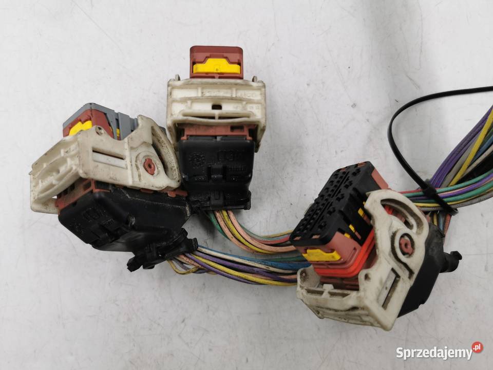 Kostki Wtyczki Modułu BSM R03 Citroen Jumpy Fiat