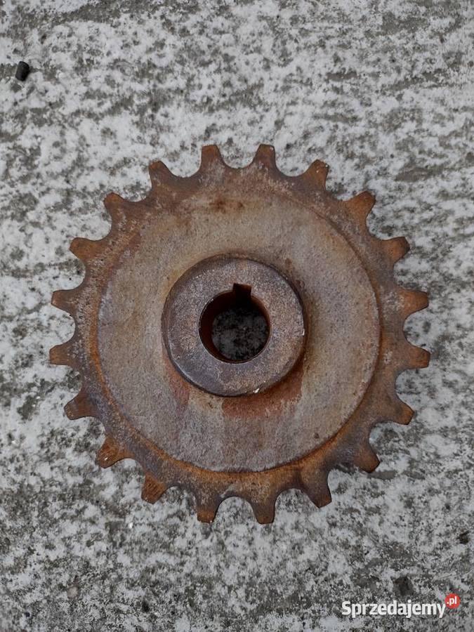 Koło zębate rozrzutnik obornika Gołcza