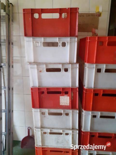 SKRZYNKI PLASTIKOWE 105 SZTUK 5 SZTUKĘ Raciborowice