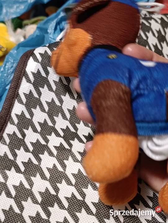 maskotka to pluszowa zabawka przedstawiająca Poznań