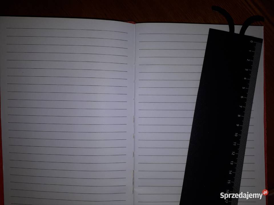 Zeszyt notatnik pamiętnik różowy pluszowy Warszawa