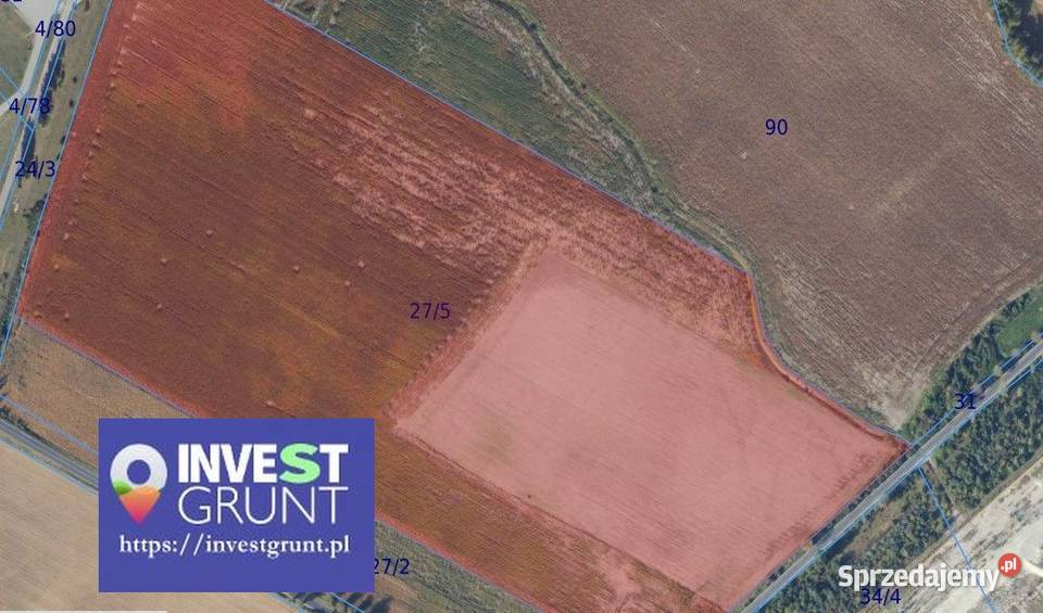 1838 ha przetarg na dzierżawę gruntów rolnych kujawsko-pomorskie Giebnia