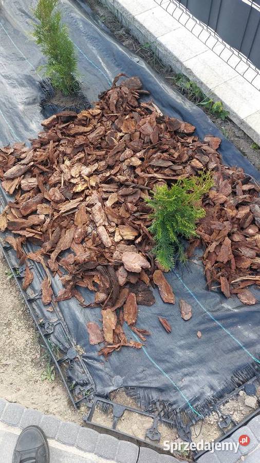 Kora sosnowa Ziemia uniwersalna Torf Kompost mazowieckie