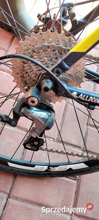 Gravel Rower Giant Anyroad Kraków