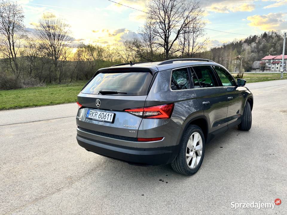 Skoda Kodiaq 2019 20 TDI 4x4 Zadbana Gotowa do