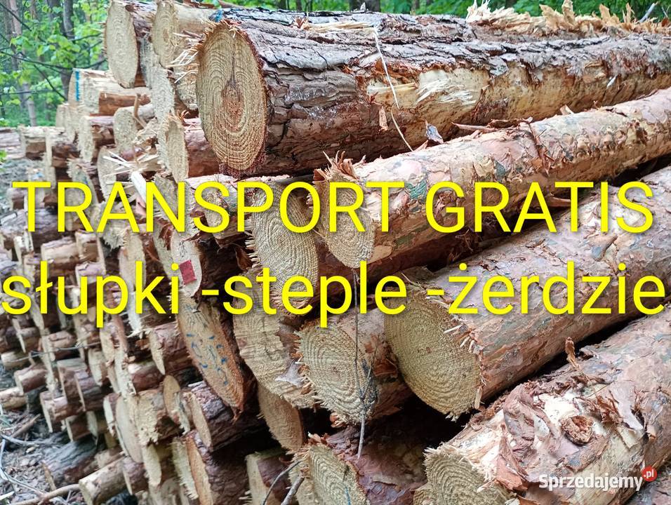 Drzewo drewno opałowe słupki stęple żerdzie Szczytna