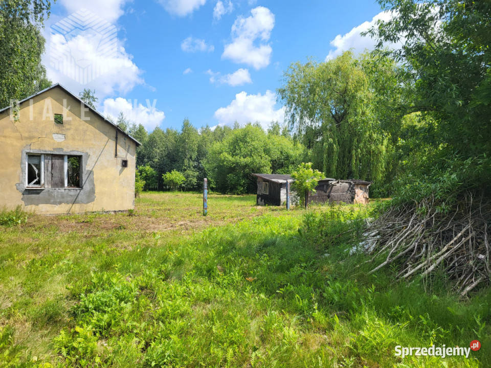 Działka do sprzedania Elżbietów 6400m2 mazowieckie sprzedam