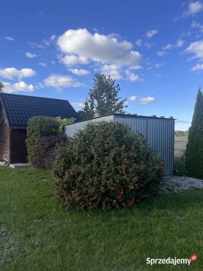 Działka 2826 m Strzelinko prąd altana kontener pomorskie sprzedam