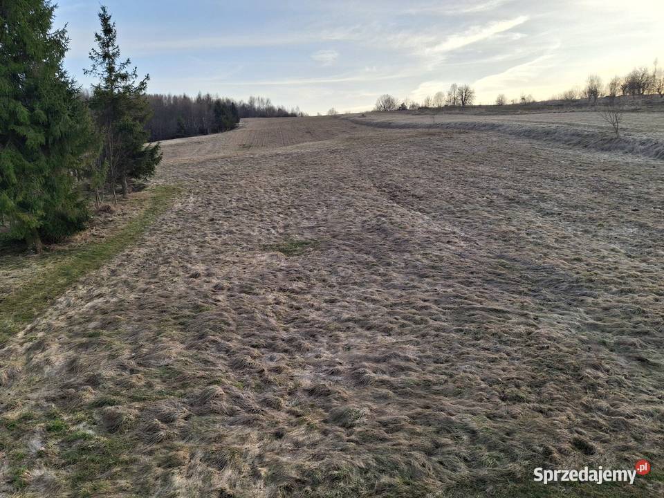 Działka rolno budowlana 500m Bochnia