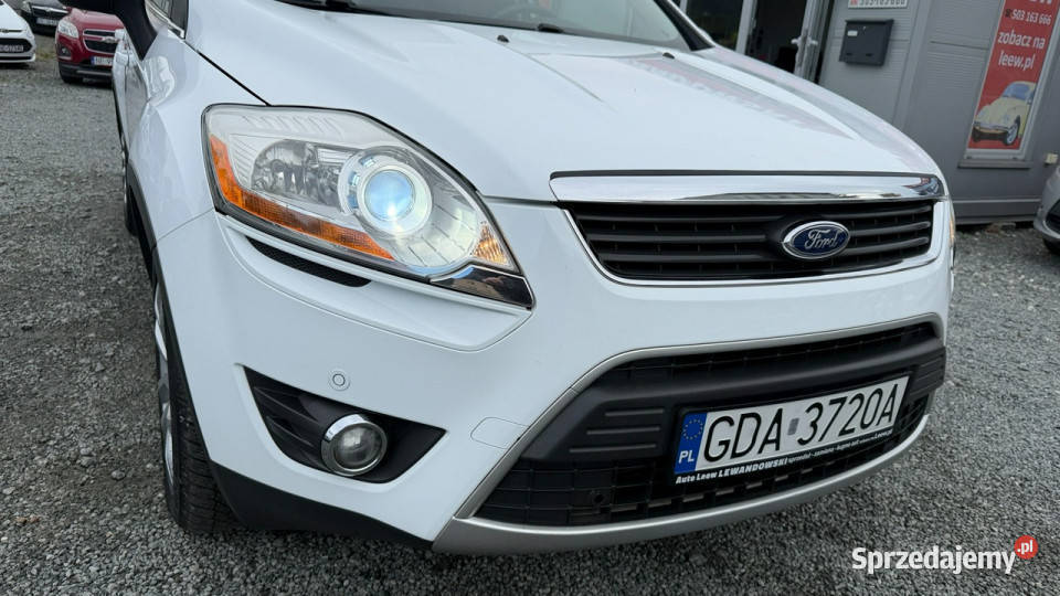 Ford Kuga Automat 4x4 20 Diesel Moc 163 I Elbląg sprzedam