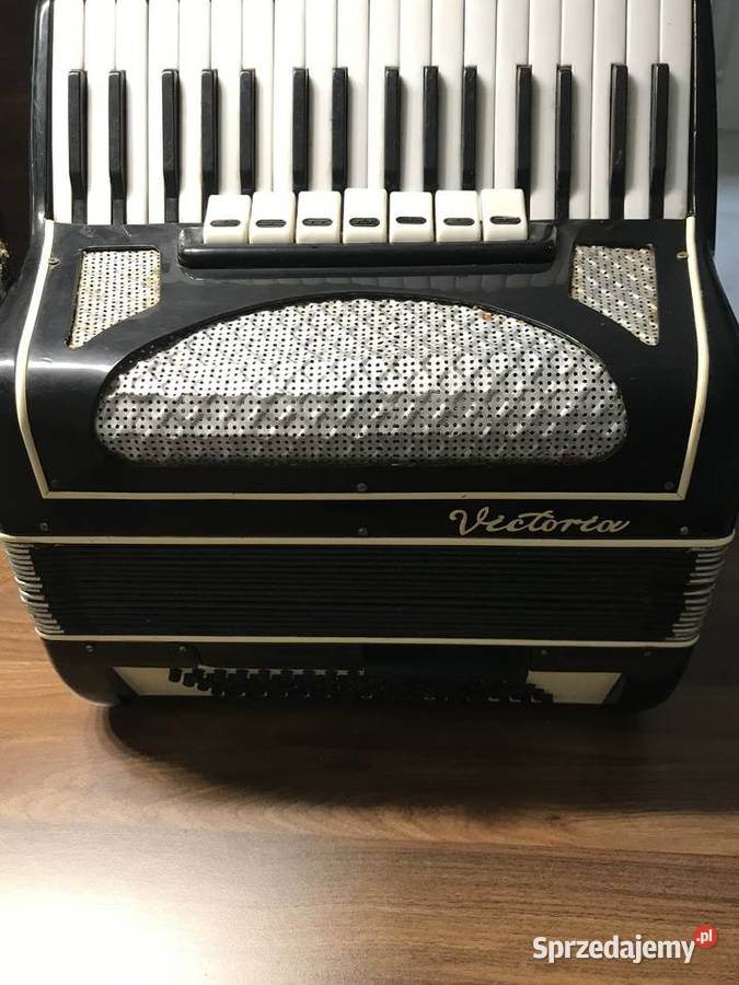 Akordeon victoria Pozostałe Święcica