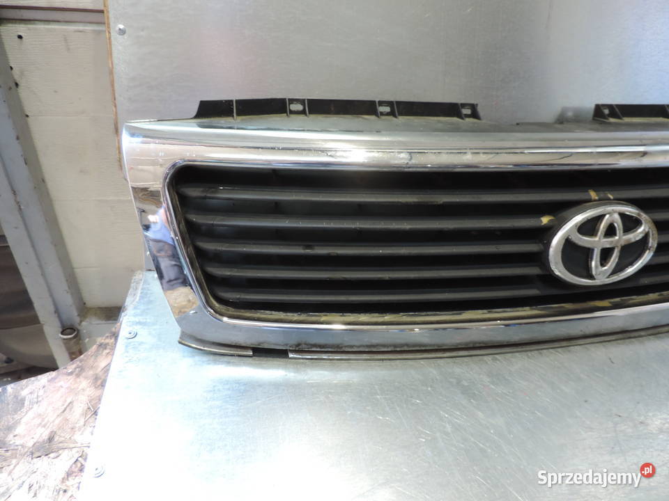 TATA SAFARI ATRAPA GRILL Nowy Sącz