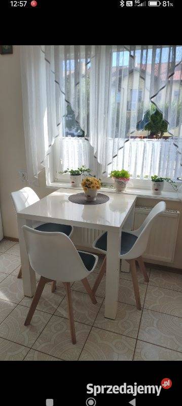 Krzesła kuchenne 42cm pomorskie Malbork sprzedam