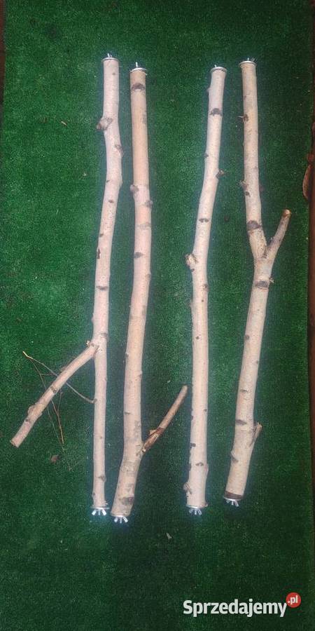 Żerdzie brzozowe z mocowaniami papug Dla ptaków Ruda Śląska