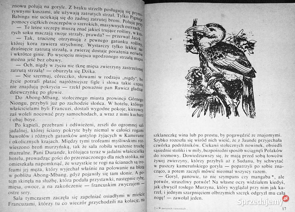 W puszczach i sawannach Kamerunu Kamil Giżycki Chełm