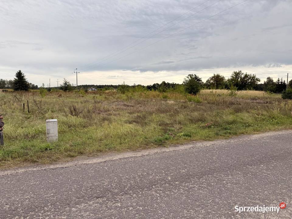 Sprzedam 70zł/m2 wielkopolskie Dąbrowice Stare