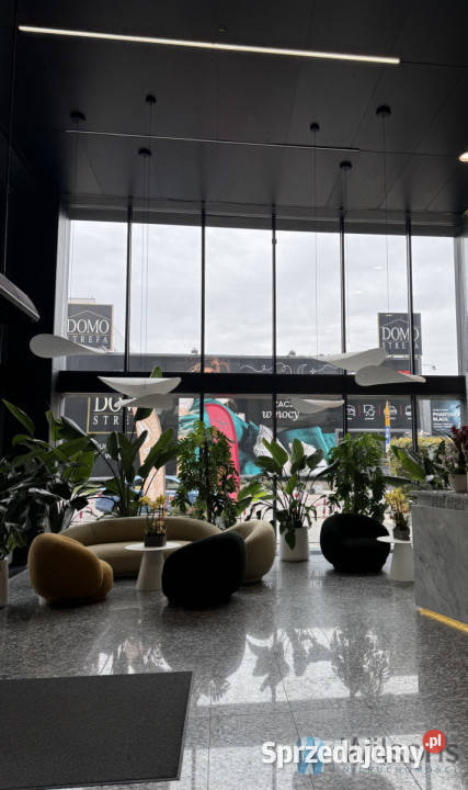 Lokal Warszawa 535m2 535m2