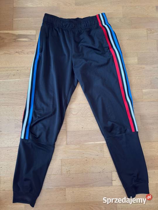 Spodnie dresowe Adidas Originals Parley kolorowe Gdańsk sprzedam