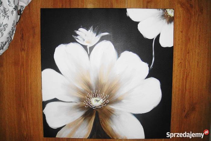 Obraz Eurofirany Wrocław