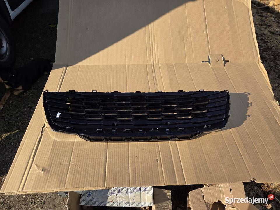 Grill Atrapa chłodnicy Ford Puma 2456978