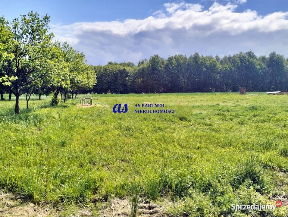 Niesamowita działka z WZ Lubenia 14ar