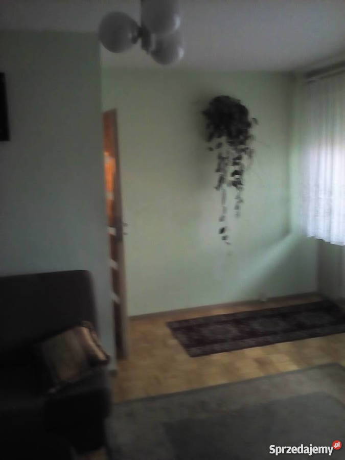 Mieszkanie Bełchatów oś Binków oddzielna kuchnia