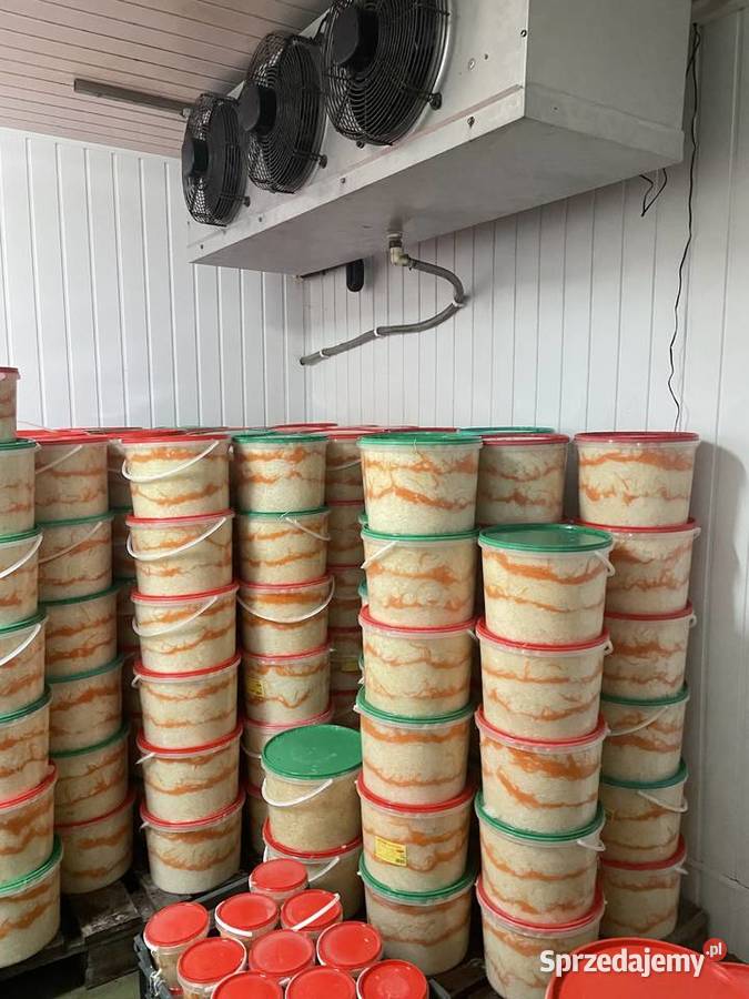 Kapusta kiszona Gastronomia