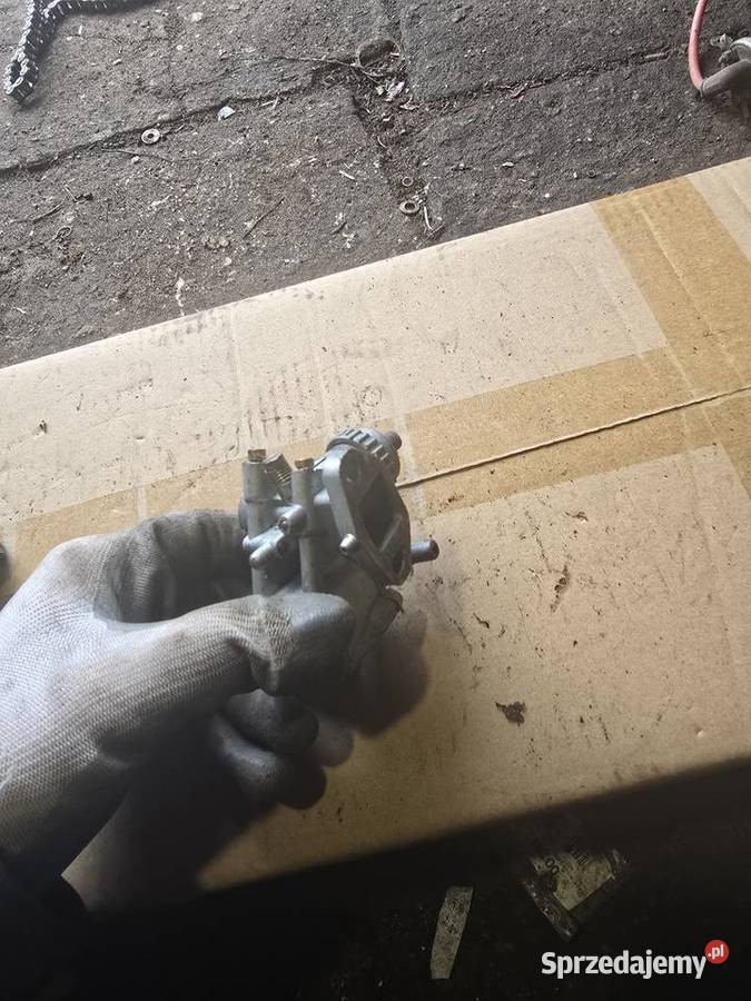 Gaznik jawka Gorzów Wielkopolski