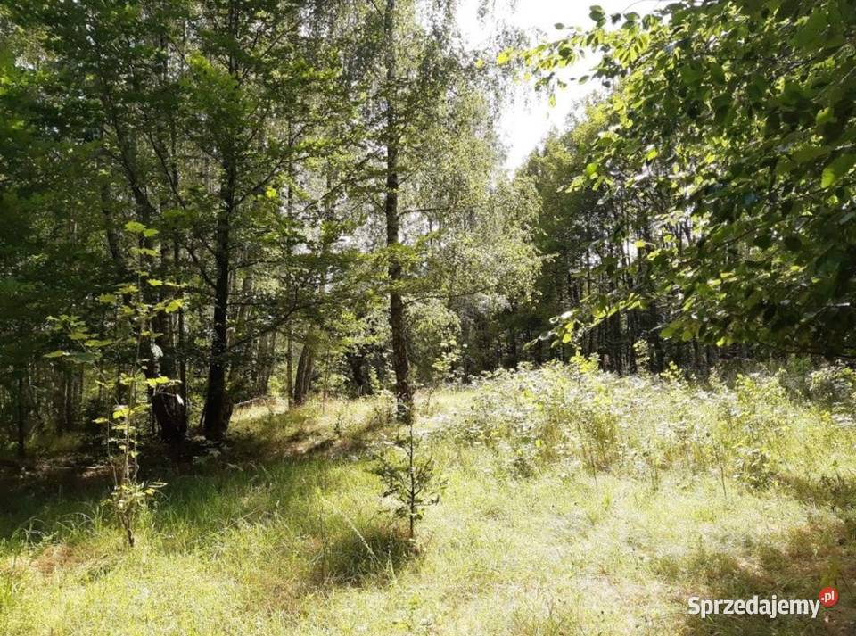 Działka jeziorze droga asfaltowa Możliwość zachodniopomorskie Kusowo sprzedam